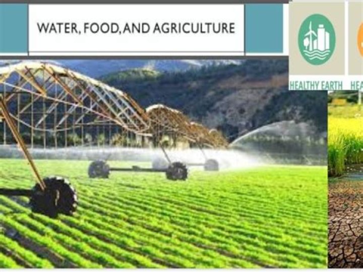 A Titan In Food And Agriculture