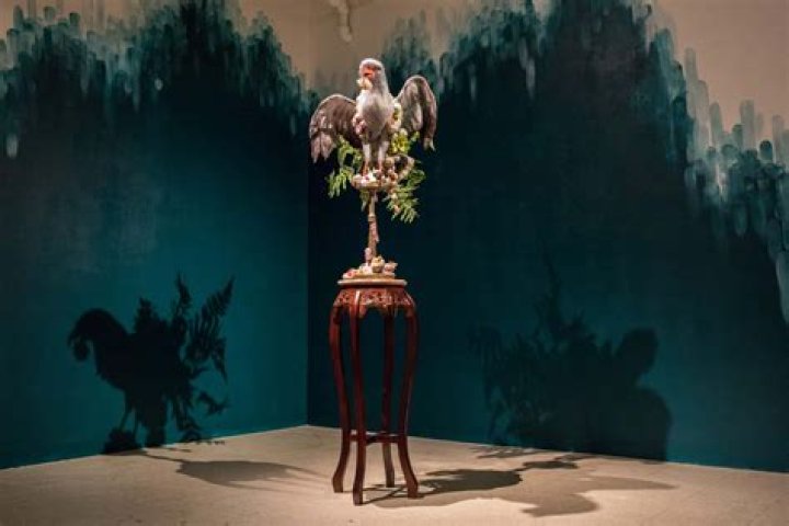 Unveiling The Multifaceted World Of Catalina Stoltz: Discoveries And Insights