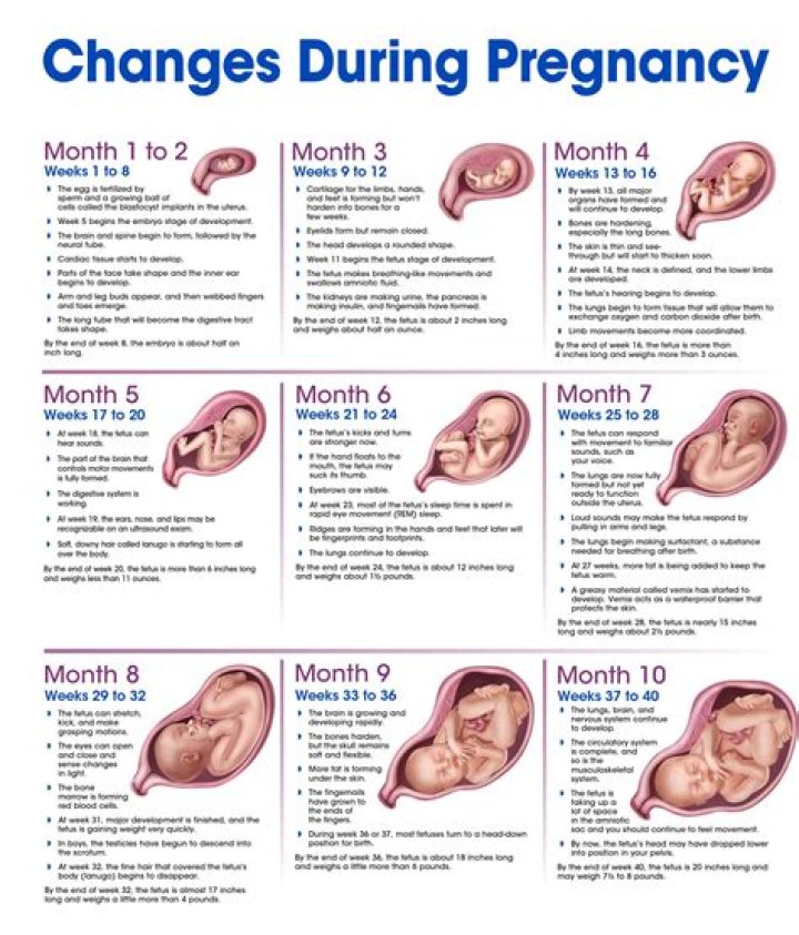 Unveiling The Secrets: Miranda Lambert's Pregnancy Journey